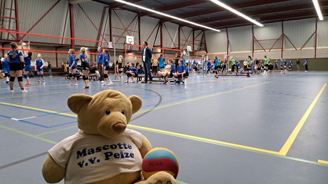 Mascotte